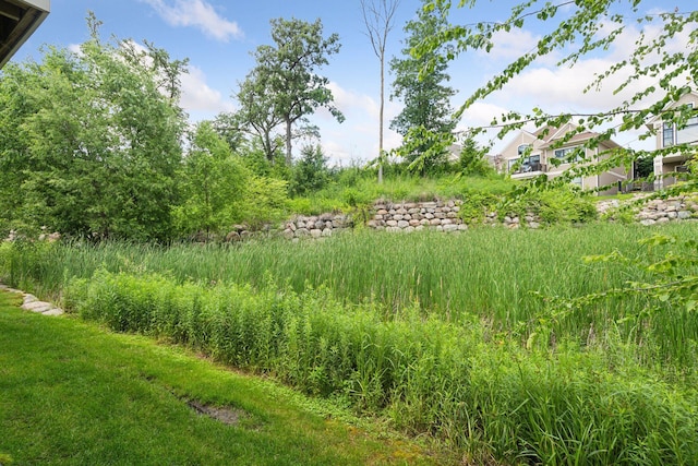 300 Bellwether Path, Wayzata, MN 55391 - photo 39