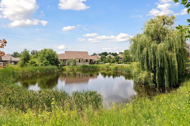 300 Bellwether Path, Wayzata, MN 55391 - photo 51