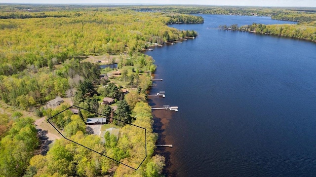 11567 S Lake Blvd, Lake Nebagamon, WI 54849 - view of property location with a forest, a nearby body of water, and property boundaries highlighted