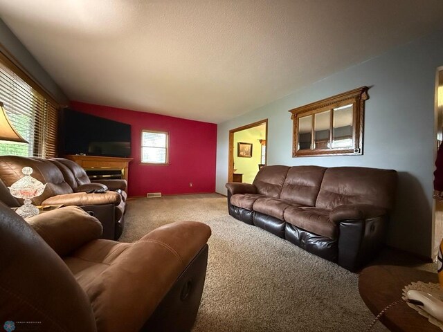 114 Hawley Ave S, Glyndon, MN 56547 - photo 19