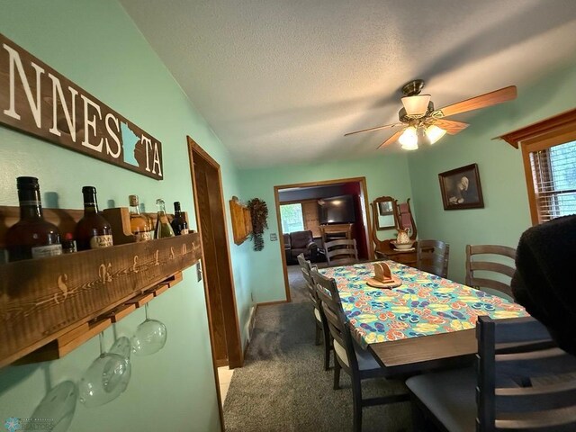 114 Hawley Ave S, Glyndon, MN 56547 - photo 40