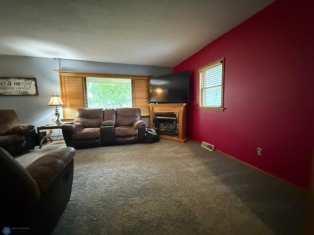 114 Hawley Ave S, Glyndon, MN 56547 - photo 41