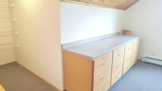 8848 Leander Rd, Angora Twp, MN 55723 - spacious closet featuring light carpet and a baseboard heating unit