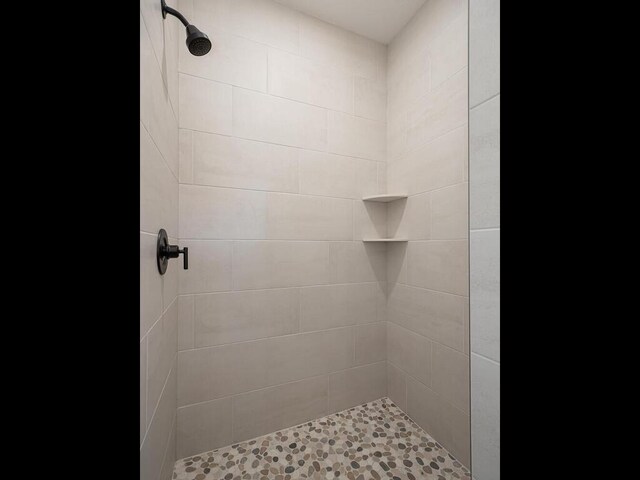 20666 Tamarack St NW, Oak Grove, MN 55011 - bathroom featuring tiled shower