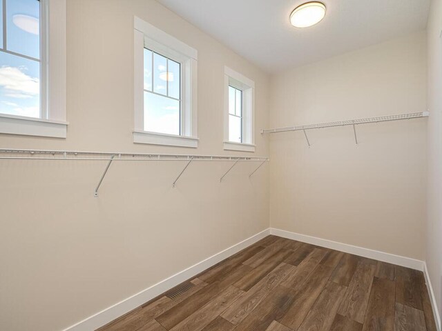 20666 Tamarack St NW, Oak Grove, MN 55011 - spacious closet with dark wood-type flooring