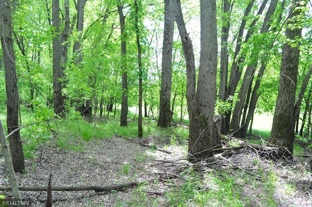 TBD Mahogany St, Mora, MN 55051