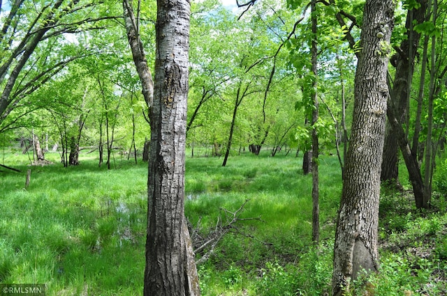 TBD Mahogany St, Mora, MN 55051