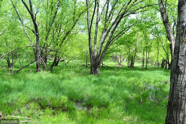TBD Mahogany St, Mora, MN 55051