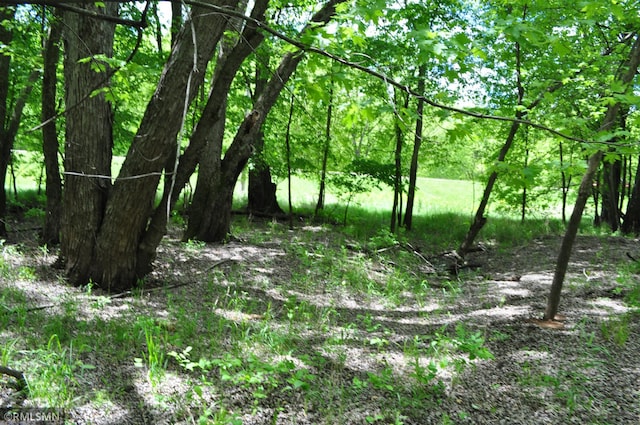 TBD Mahogany St, Mora, MN 55051