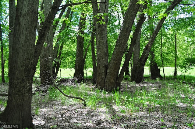 TBD Mahogany St, Mora, MN 55051