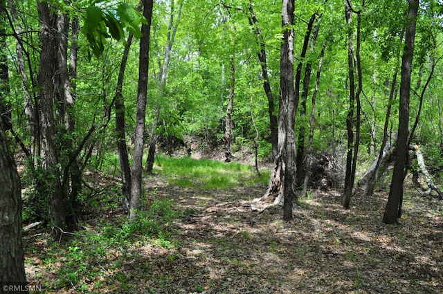 TBD Mahogany St, Mora, MN 55051
