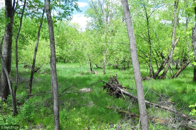 TBD Mahogany St, Mora, MN 55051