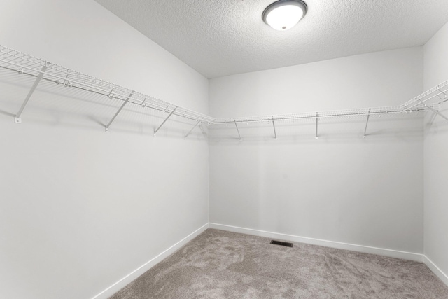 1708 Misty Cir, Buffalo, MN 55313 - walk in closet with carpet flooring