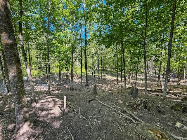 7215 Little Dip Ln NE, Bemidji, MN 56601 - view of nature