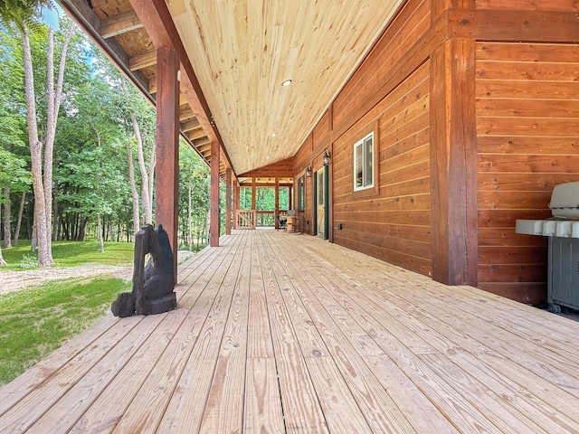 7215 Little Dip Ln NE, Bemidji, MN 56601 - photo 5