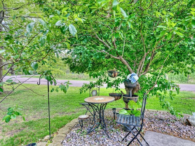 5420 Saxony Ct, White Bear Twp, MN 55110 - view of green lawn featuring a patio