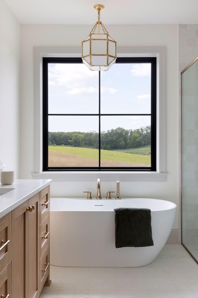 7937 Eldorado Rd, Credit River Twp, MN 55372 - bathroom with a freestanding bath, plenty of natural light, and vanity