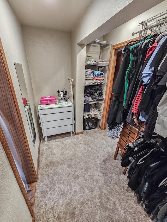 12216 175th St W, Lakeville, MN 55044 - walk in closet with carpet