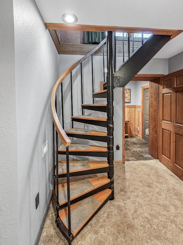 12216 175th St W, Lakeville, MN 55044 - stairway featuring a textured wall, carpet, wainscoting, and wood walls