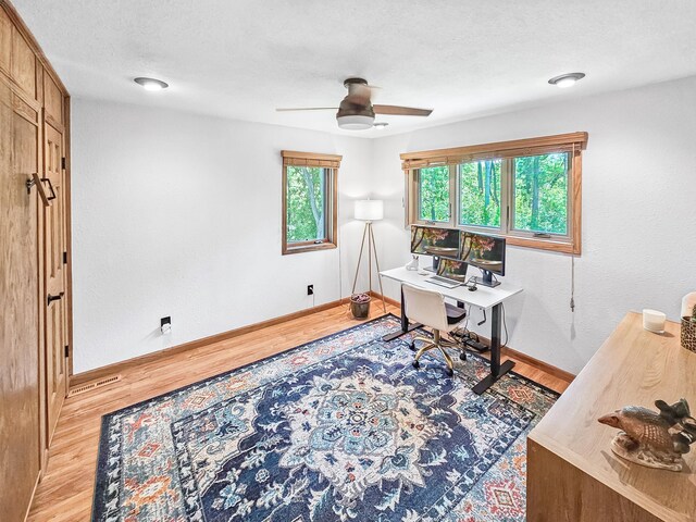 12216 175th St W, Lakeville, MN 55044 - office featuring light wood-style flooring, a ceiling fan, baseboards, and a textured ceiling