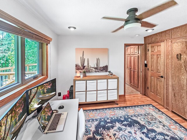 12216 175th St W, Lakeville, MN 55044 - office featuring ceiling fan and light wood finished floors