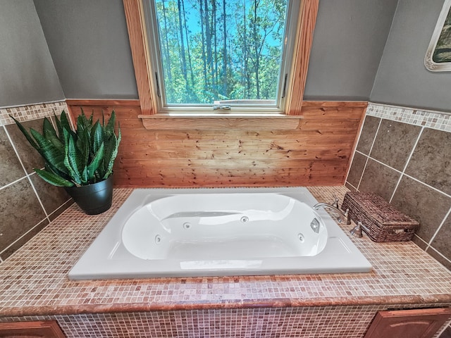 12216 175th St W, Lakeville, MN 55044 - full bathroom featuring a jetted tub and a wainscoted wall
