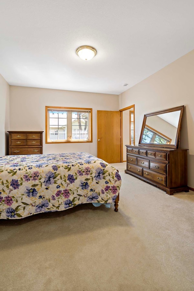 2990 David Cir, Little Canada, MN 55117 - bedroom featuring carpet floors