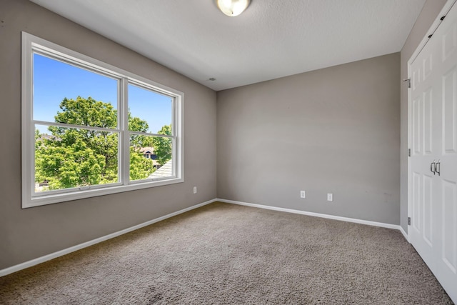 18141 87th Ave N, Maple Grove, MN 55311 - empty room with healthy amount of natural light, carpet, and baseboards