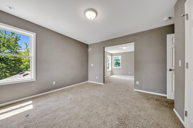 18141 87th Ave N, Maple Grove, MN 55311 - spare room featuring carpet floors, baseboards, and a smoke detector