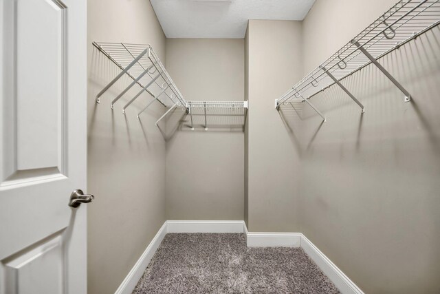 18141 87th Ave N, Maple Grove, MN 55311 - walk in closet with carpet flooring