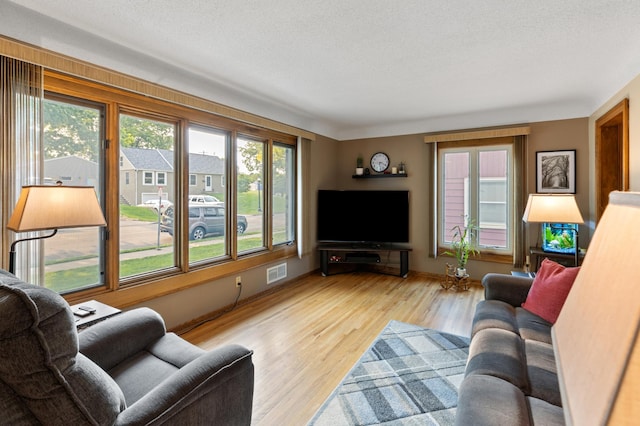 2196 Waukon Ave, Saint Paul, MN 55119 - living area featuring light wood-style flooring and a textured ceiling