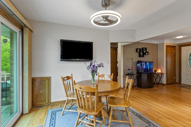 2196 Waukon Ave, Saint Paul, MN 55119 - dining area featuring a ceiling fan, light wood finished floors, healthy amount of natural light, and a textured ceiling
