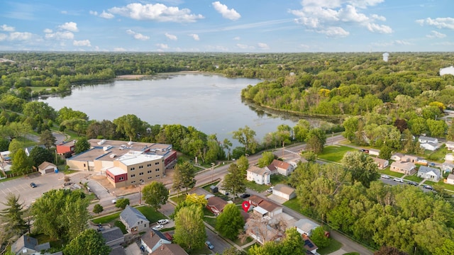 2196 Waukon Ave, Saint Paul, MN 55119 - drone / aerial view of a forest and a nearby body of water