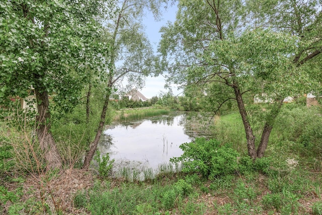 5445 Boone Ave N Unit 216, New Hope, MN 55428 - water view