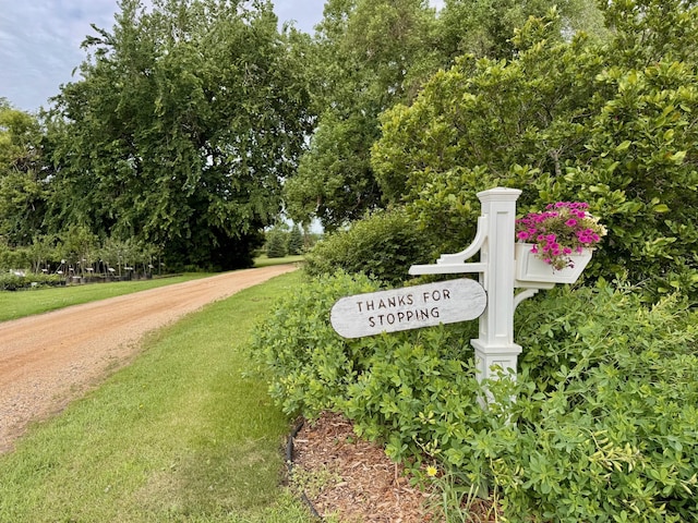 1186 County Road 118, Lake Benton Twp, MN 56149 - photo 86