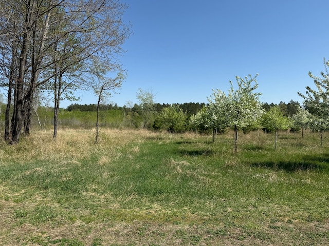 11.5ACRELOT Nagel Rd, Pequot Lakes, MN 56472