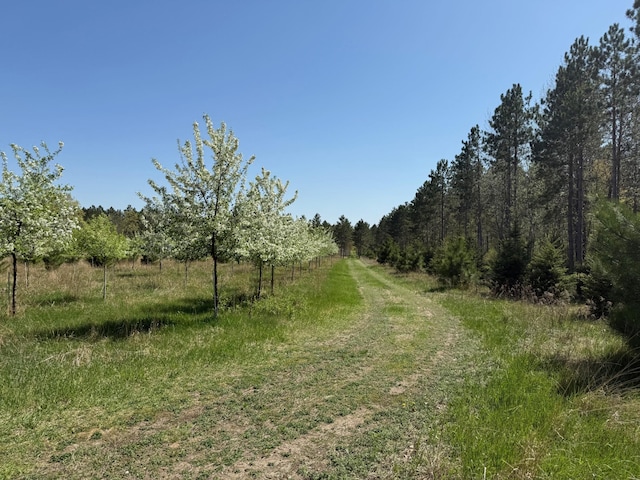 11.5ACRELOT Nagel Rd, Pequot Lakes, MN 56472