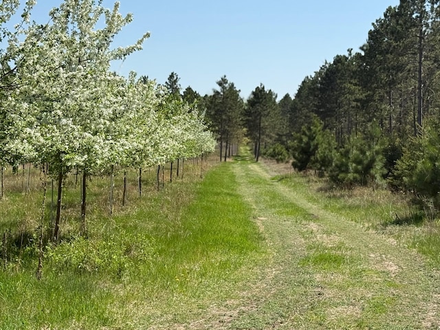 11.5ACRELOT Nagel Rd, Pequot Lakes, MN 56472