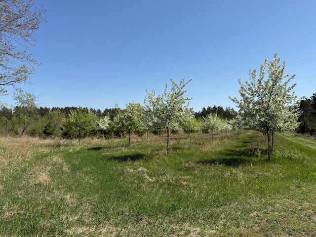 11.5ACRELOT Nagel Rd, Pequot Lakes, MN 56472