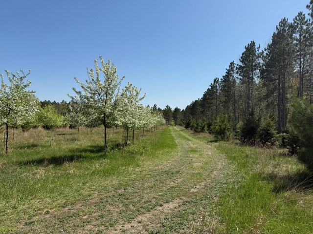 11.5ACRELOT Nagel Rd, Pequot Lakes, MN 56472 - photo 2