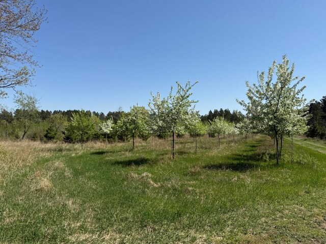11.5ACRELOT Nagel Rd, Pequot Lakes, MN 56472 - photo 5