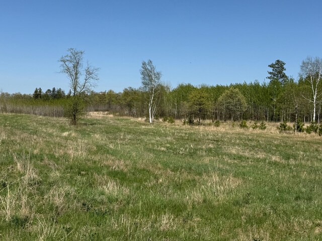 11.5ACRELOT Nagel Rd, Pequot Lakes, MN 56472 - photo 7