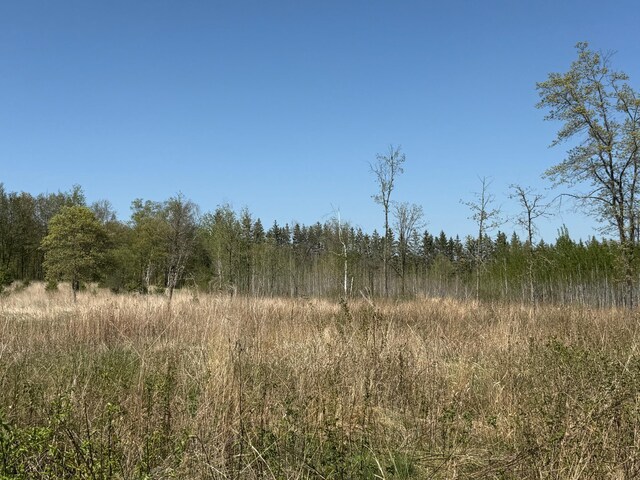 11.5ACRELOT Nagel Rd, Pequot Lakes, MN 56472 - photo 11