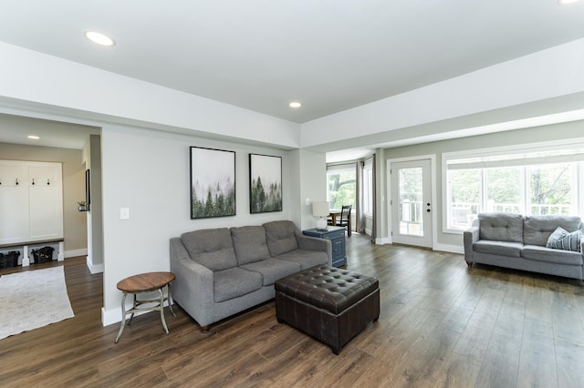 9420 Fabian St NE, Kalmar Twp, MN 55920 - living area with dark wood-style flooring, baseboards, and recessed lighting