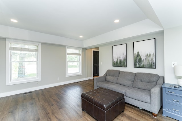 9420 Fabian St NE, Kalmar Twp, MN 55920 - living room with baseboards, wood finished floors, and recessed lighting