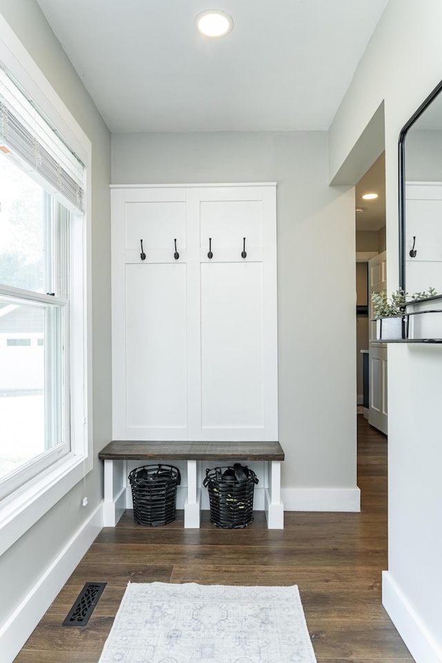 9420 Fabian St NE, Kalmar Twp, MN 55920 - mudroom with baseboards, healthy amount of natural light, recessed lighting, and dark wood-style floors