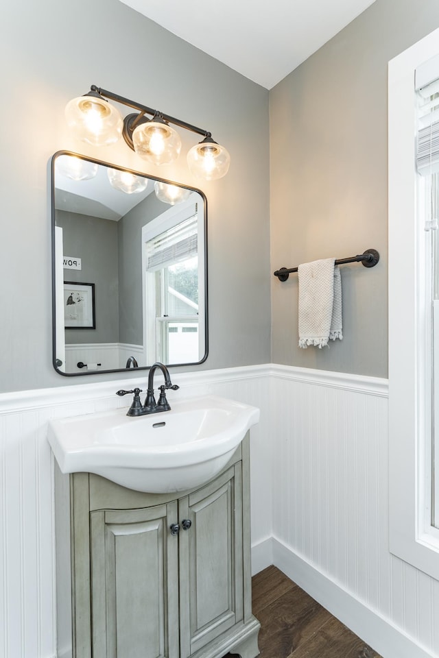 9420 Fabian St NE, Kalmar Twp, MN 55920 - bathroom featuring wainscoting, vanity, and wood finished floors