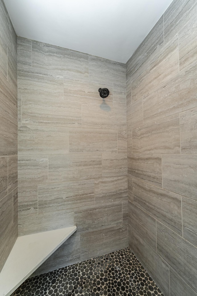 9420 Fabian St NE, Kalmar Twp, MN 55920 - bathroom featuring tiled shower