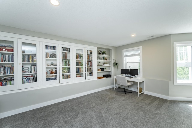 9420 Fabian St NE, Kalmar Twp, MN 55920 - carpeted office with healthy amount of natural light, baseboards, and recessed lighting