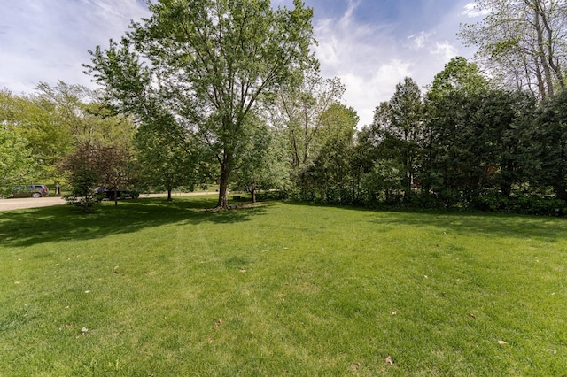 9420 Fabian St NE, Kalmar Twp, MN 55920 - view of green lawn